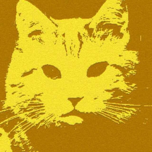猫说