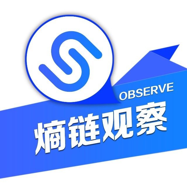 熵链观察