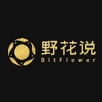 野花说