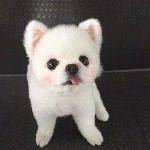 落幕