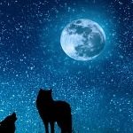 区块链不舍昼夜