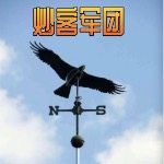 比特小少爷
