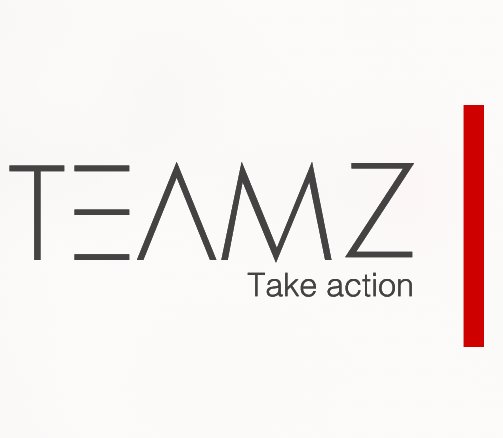 TEAMZ Inc