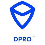 DPRO督查
