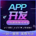 区块链系统开发者