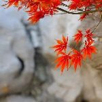 区块链杂谈