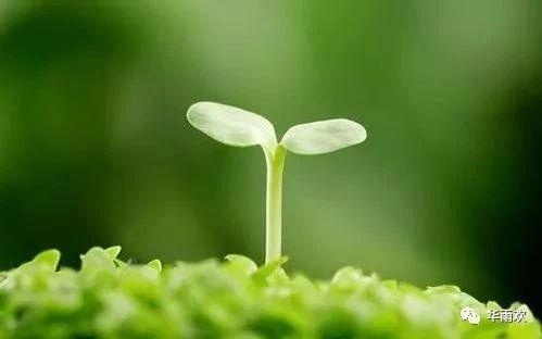 投资
