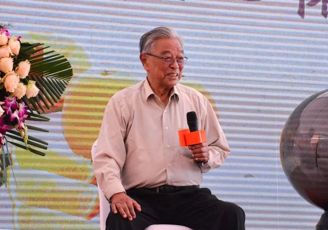 褚时健
