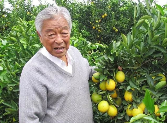 褚时健