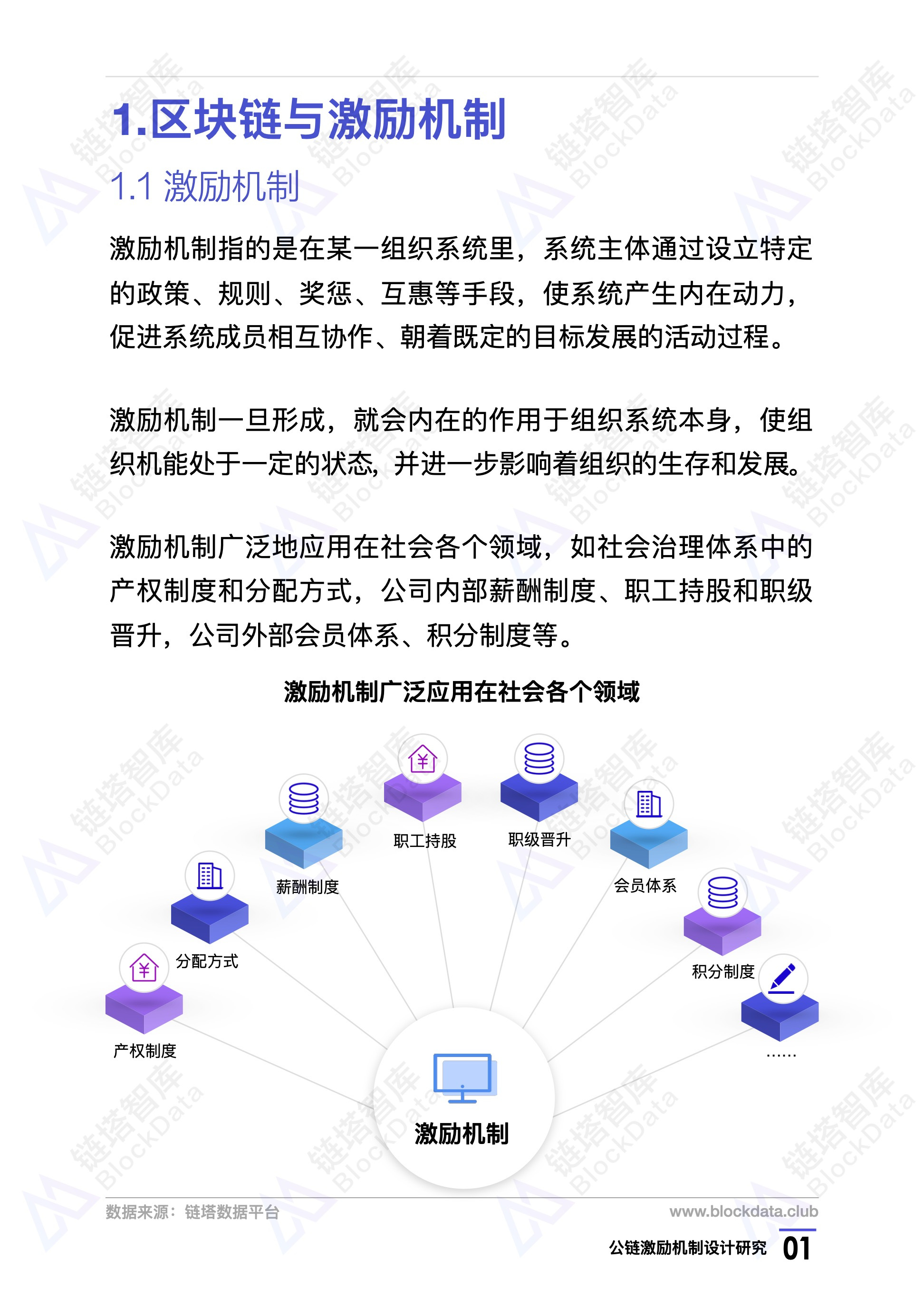 研究报告