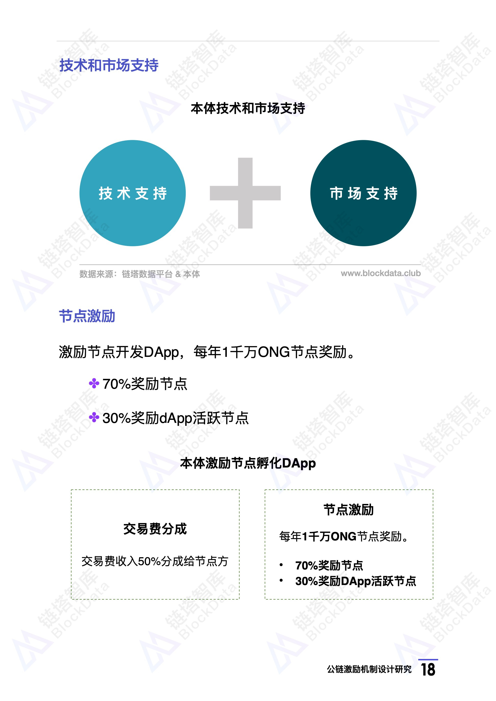 研究报告