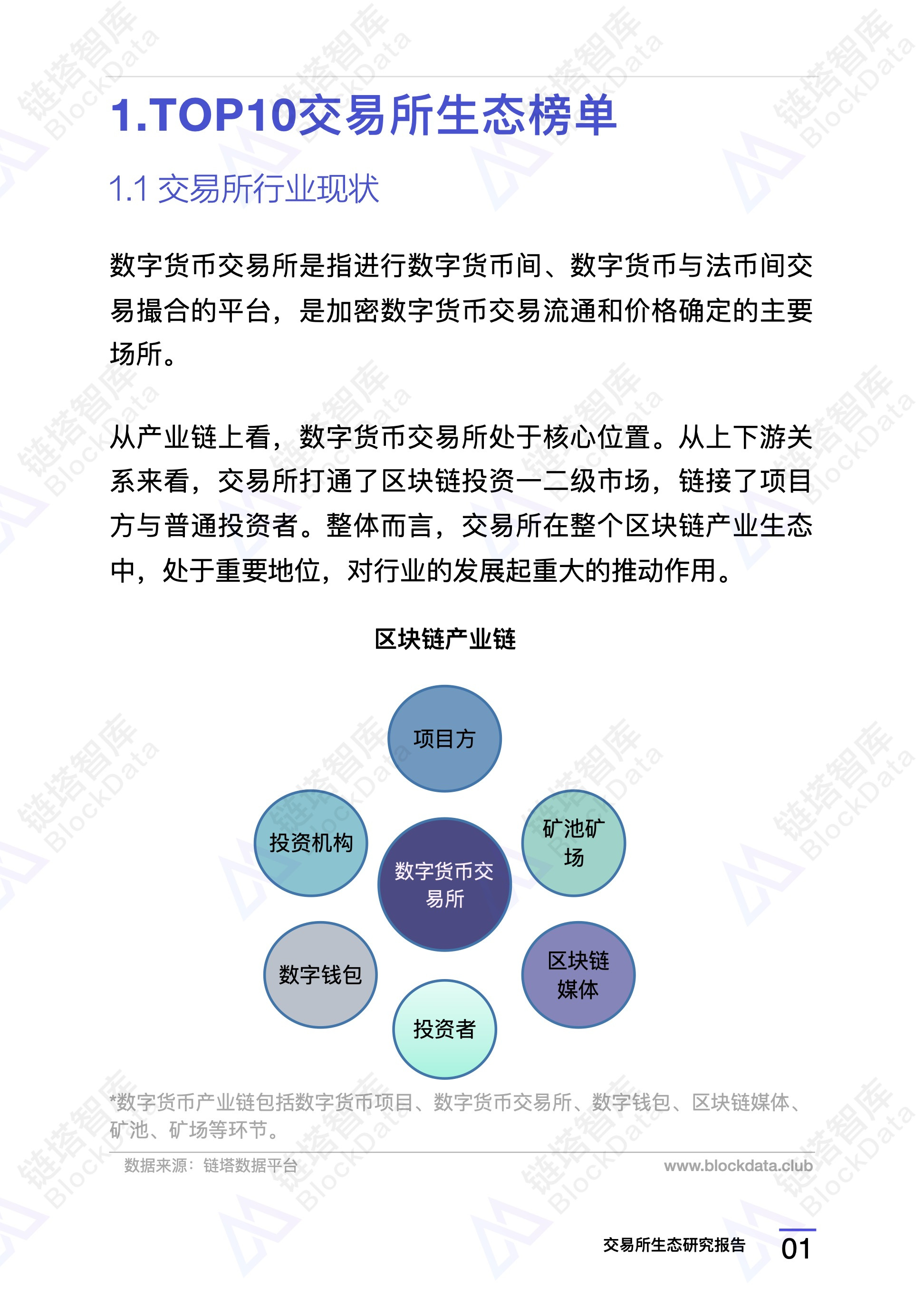 研究报告