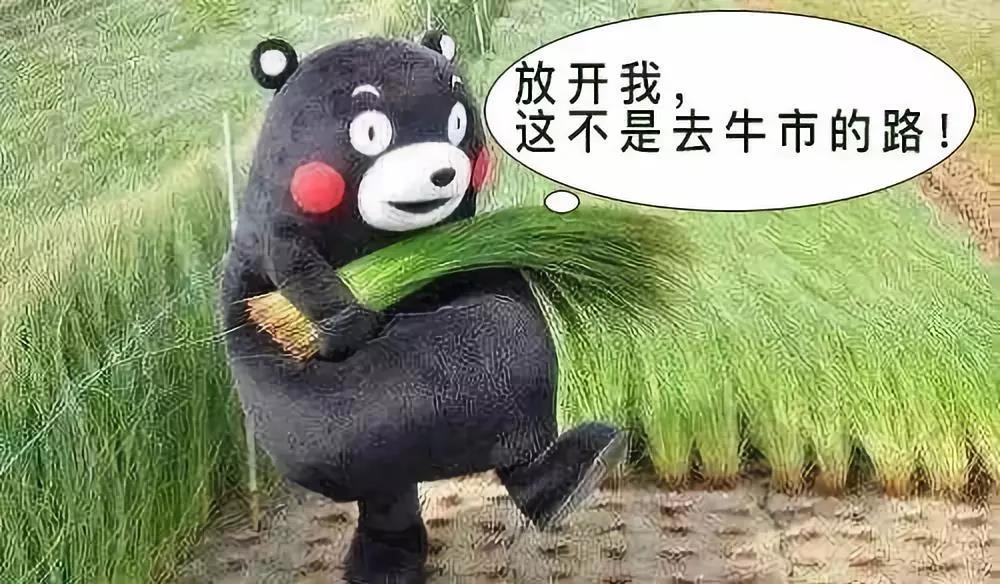 投资建议