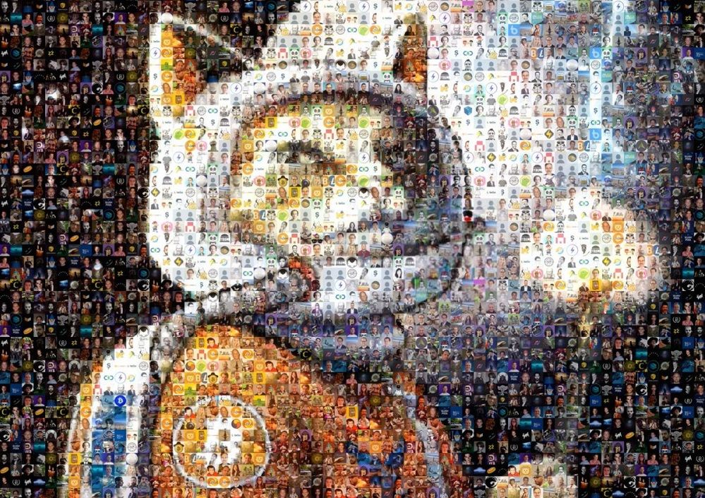 Hodlonaut