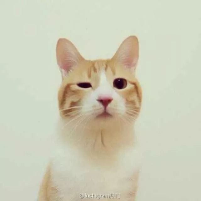 共识
