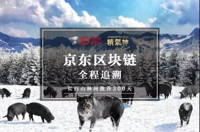 阿里巴巴
