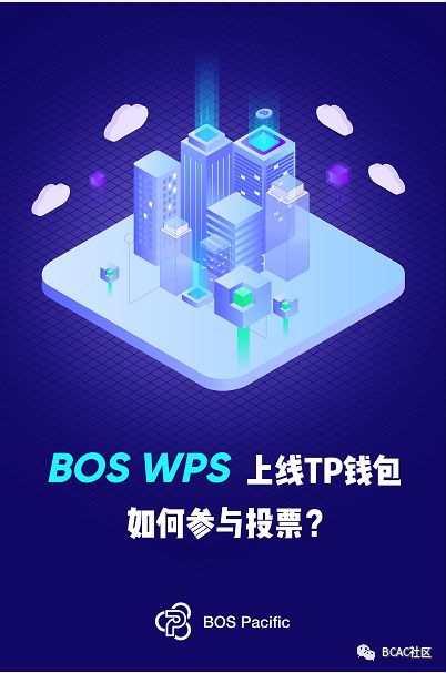 投票指南