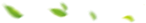 Filecoin
