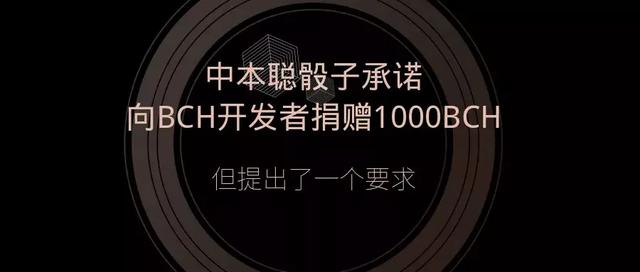 中本聪骰子