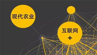 DigiMarket
