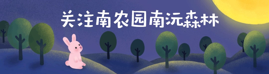 DigiMarket