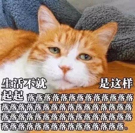 中本聪