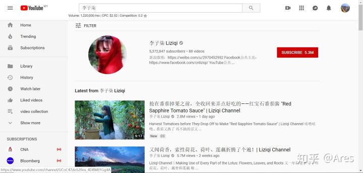 内容创业