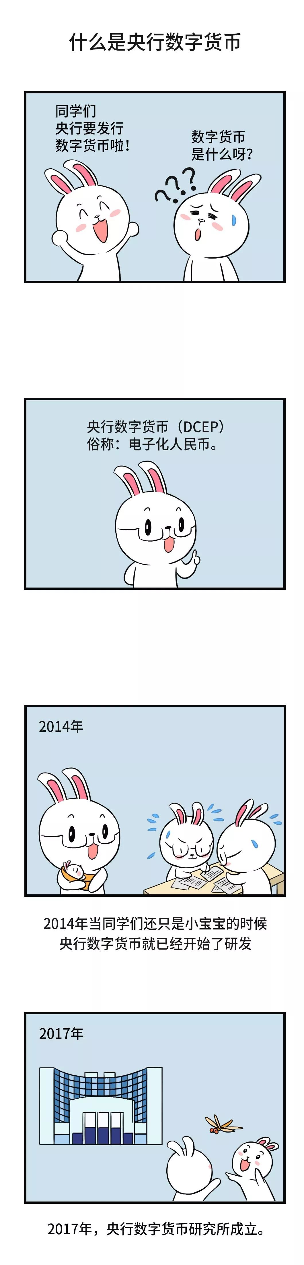 小白