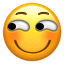 本体ONT