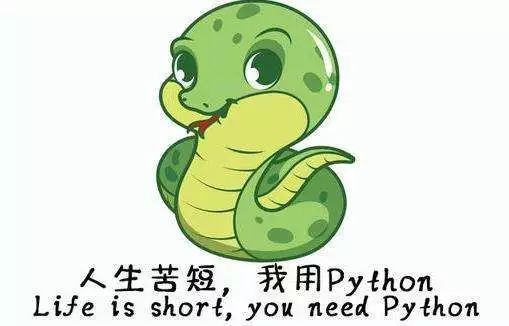 本体ONT