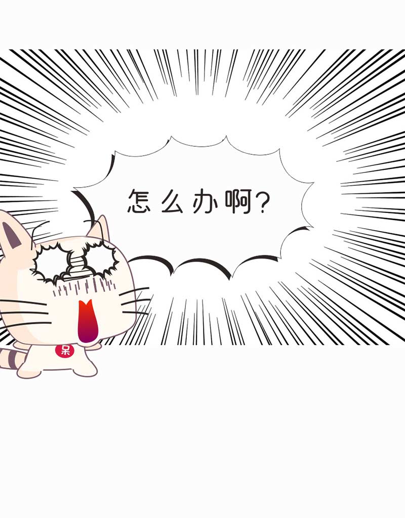 社区