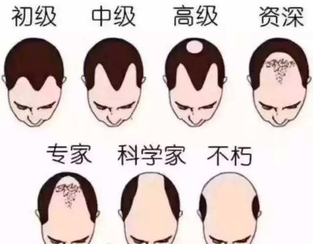 程序员节