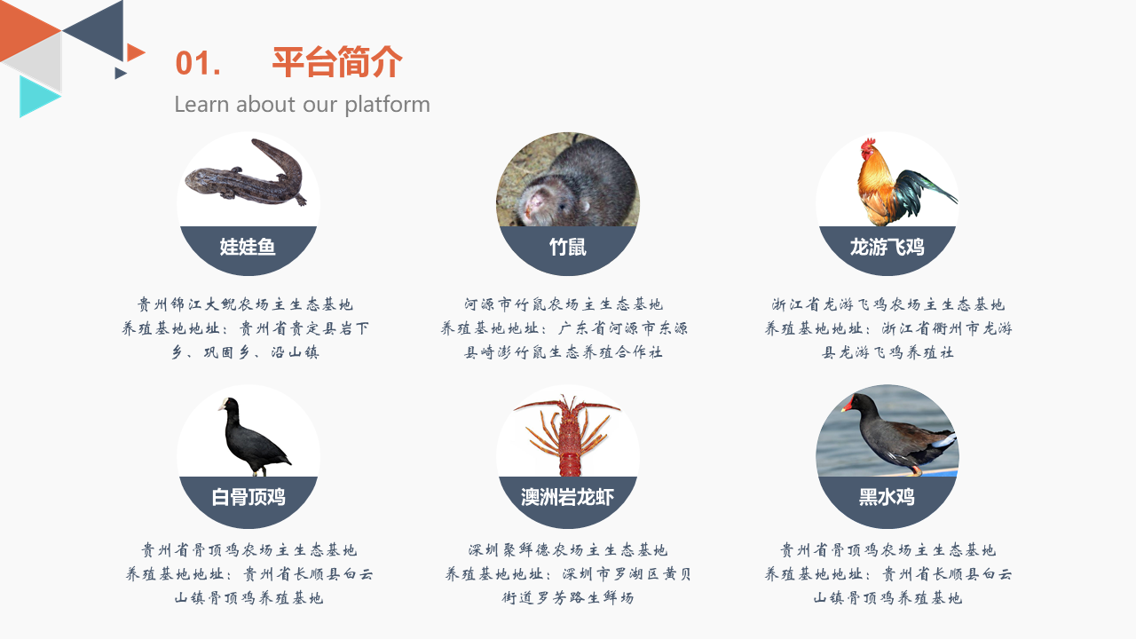 投资机会