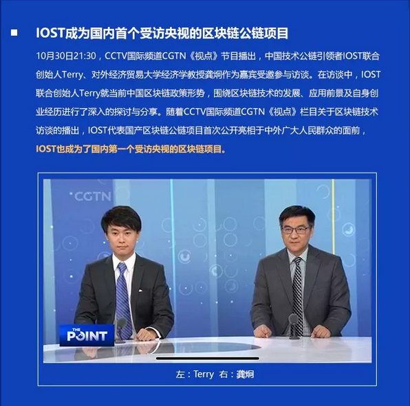 双周报
