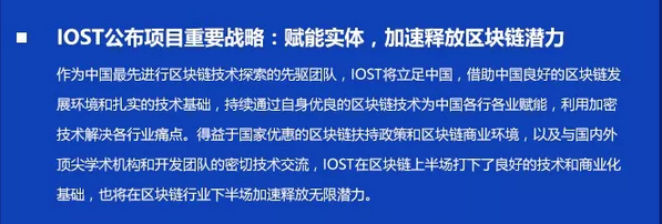双周报