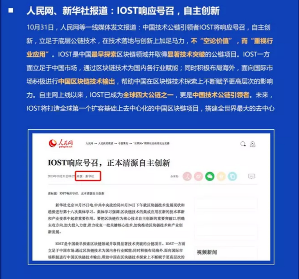 双周报