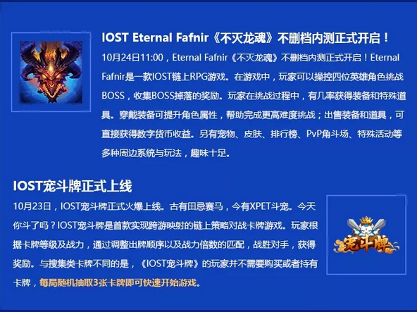 双周报