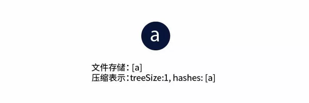 本体