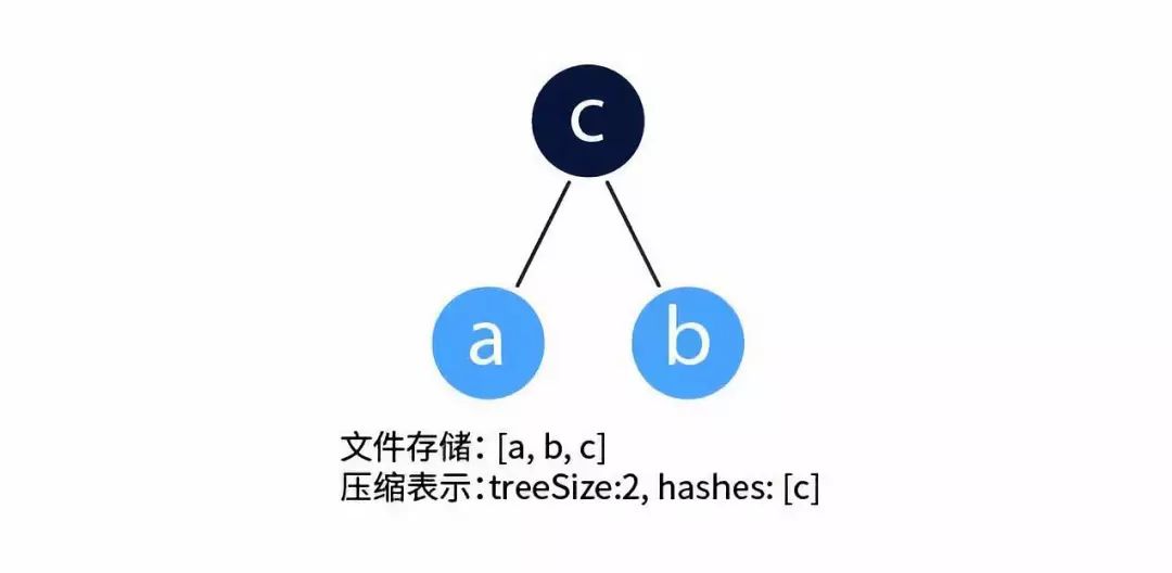 本体