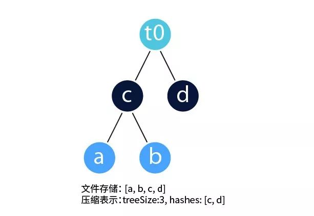 本体