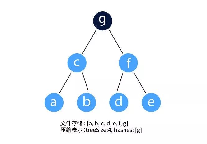 本体