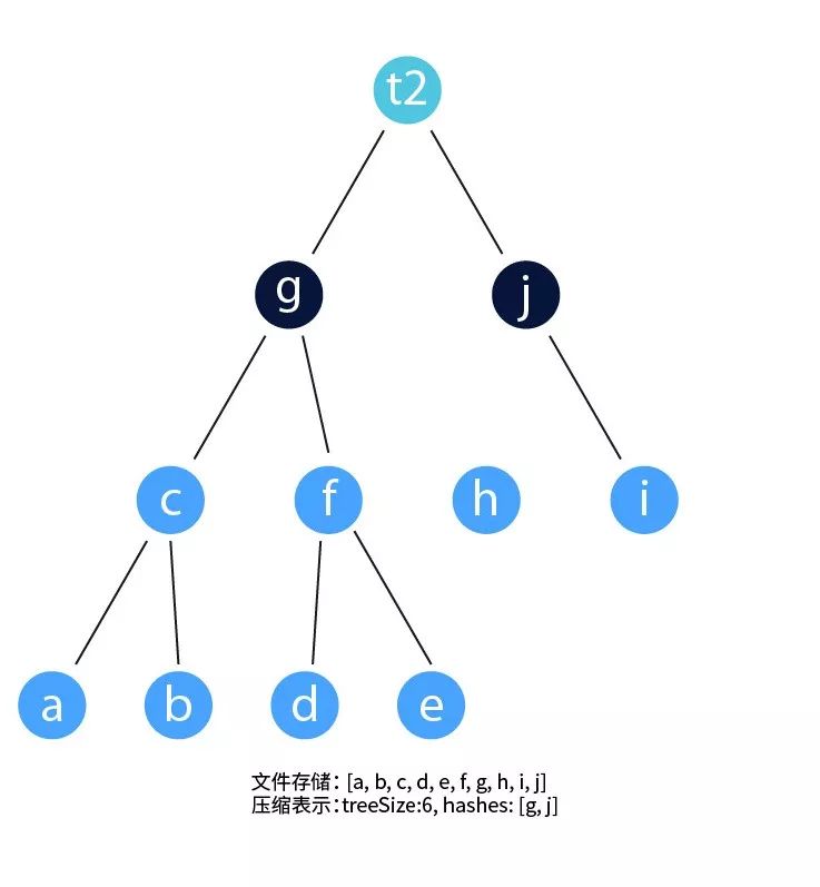 本体