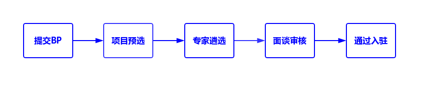 政策