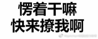 维基链