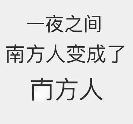 双十一