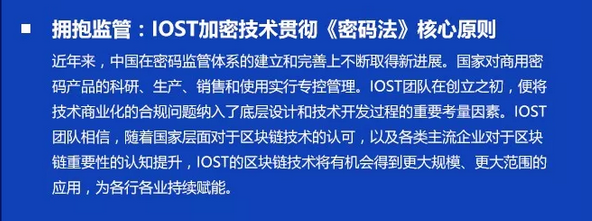 双周报