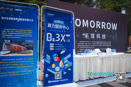毛球科技
