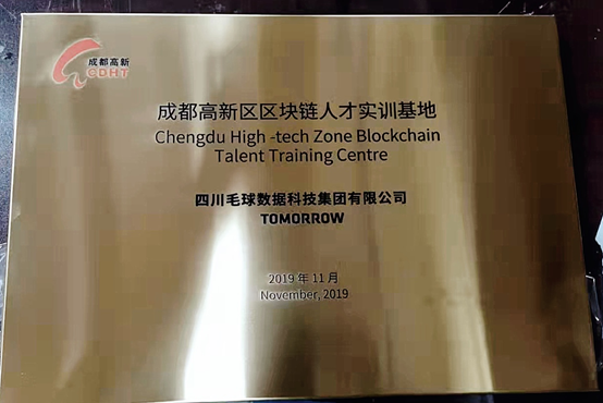 毛球科技