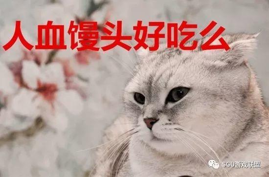 孙宇晨