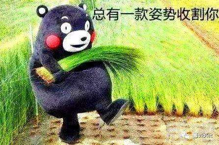 区块链人才市场
